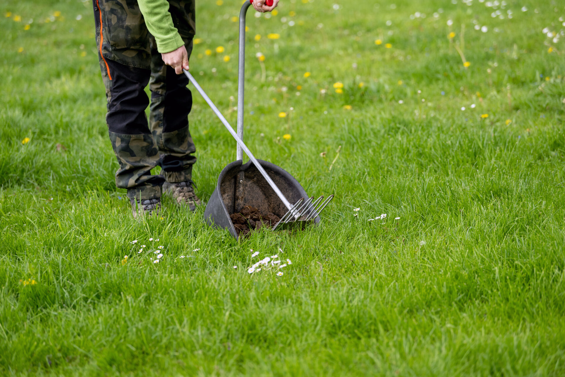 Pet Waste Removal