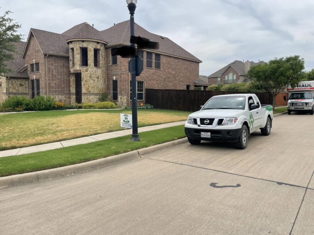 fall lawn care