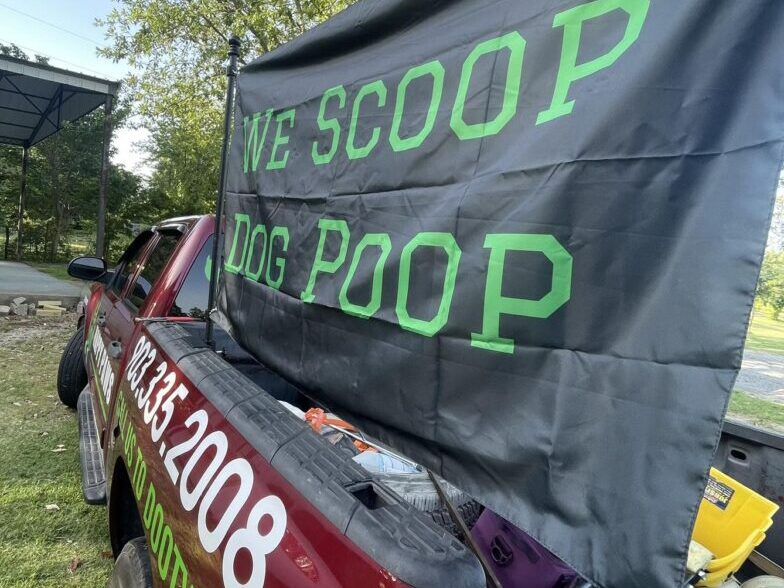 professional professional